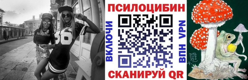как найти закладки  Саянск  Псилоцибиновые грибы Psilocybe 