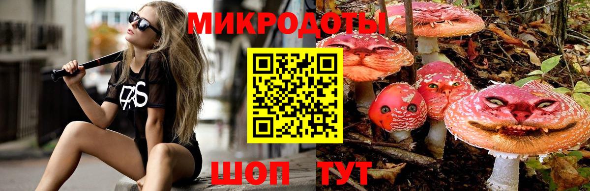 Галлюциногенные грибы MAGIC MUSHROOMS  Псилоцибиновые грибы прущие грибы  Саянск  Вход с VPN 